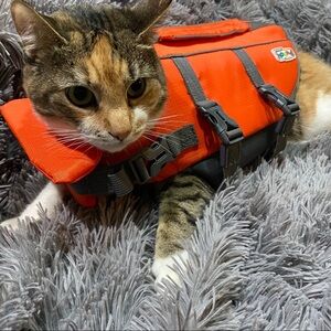 Outward Hound Small Orange Life Vest